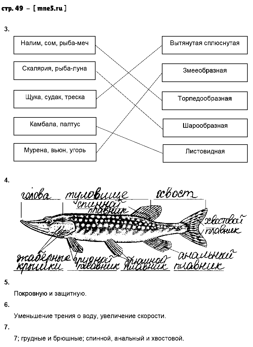 Характеристика классов рыб таблица 7 класс. 7 Класс латюшин биология таблица класс рыб. Внешнее строение рыбы 7 класс биология. Биология 7 класс латюшин.