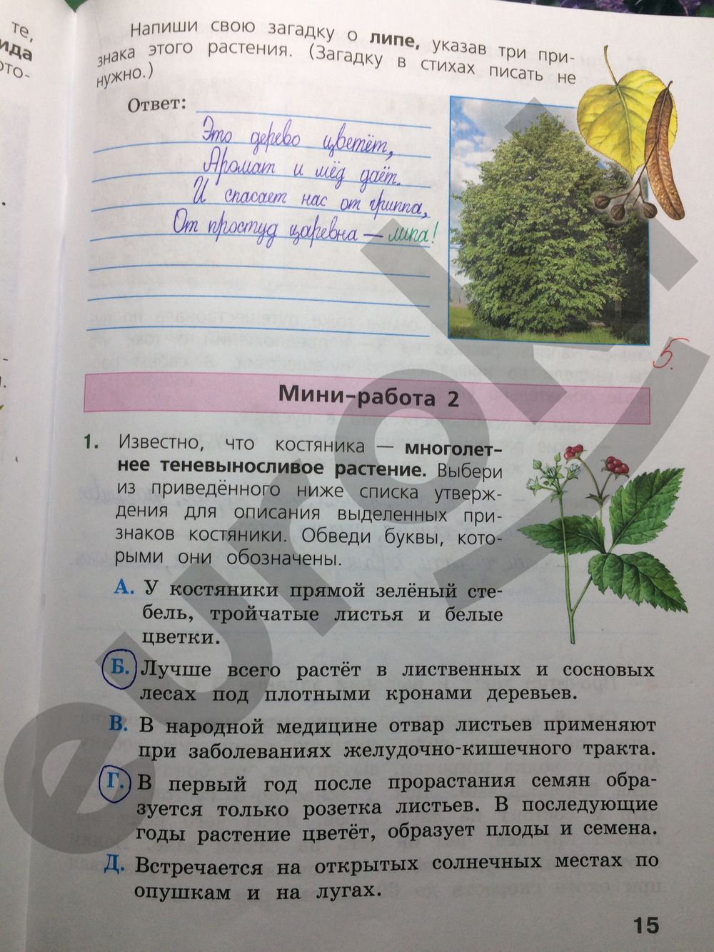 ГДЗ Биология 4 класс - стр. 15