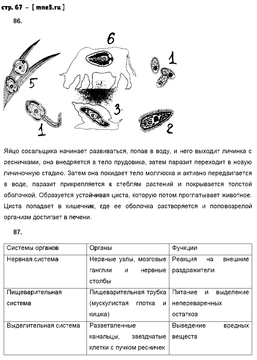 ГДЗ Биология 7 класс - стр. 67