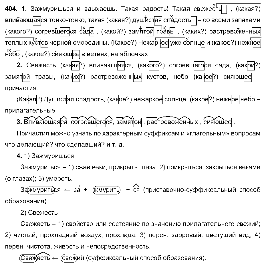 ГДЗ Русский язык 6 класс - 404
