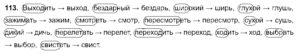 ГДЗ Русский язык 6 класс - 113