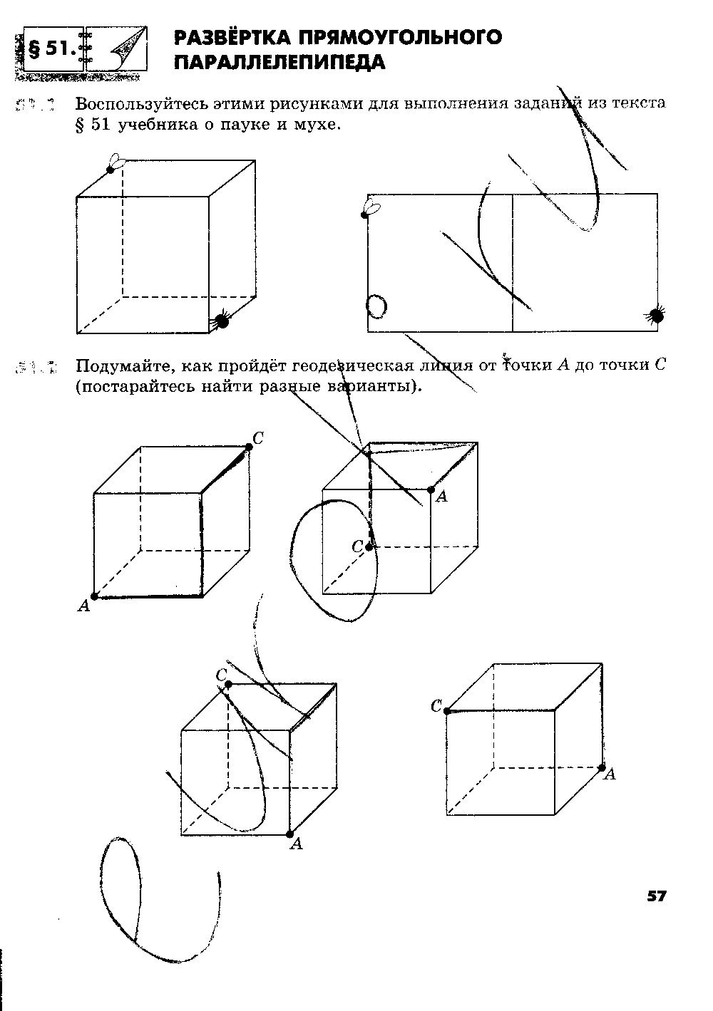 ГДЗ Математика 5 класс - стр. 57