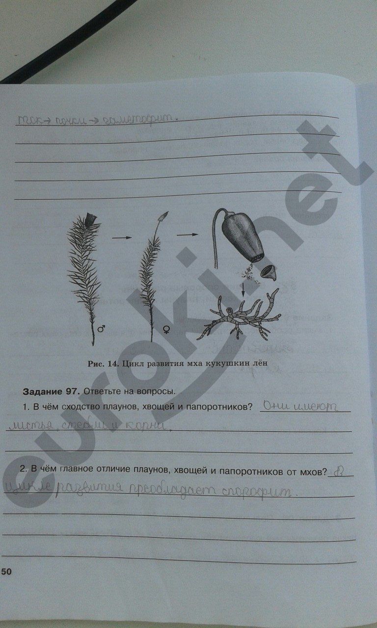ГДЗ Биология 6 класс - стр. 50