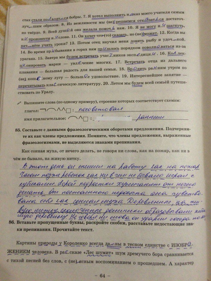 ГДЗ Русский язык 8 класс - стр. 64
