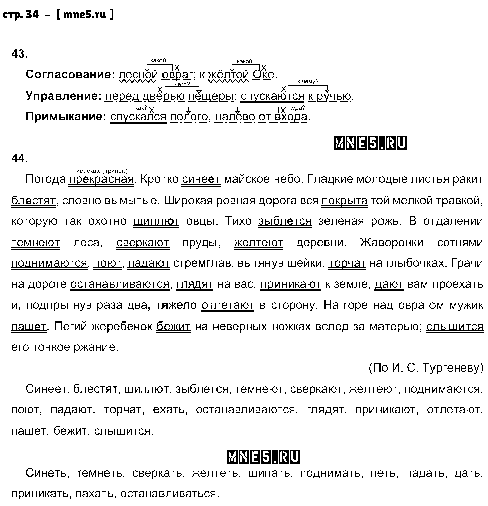 ГДЗ Русский язык 8 класс - стр. 34