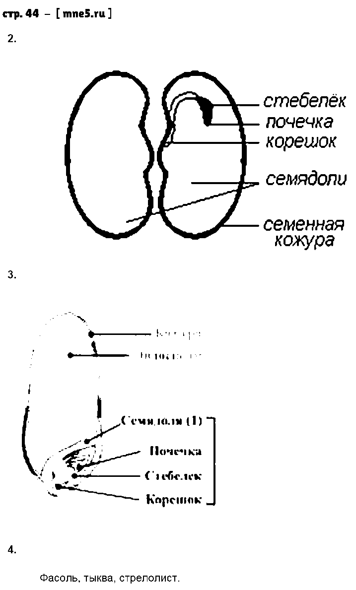 ГДЗ Биология 7 класс - стр. 44