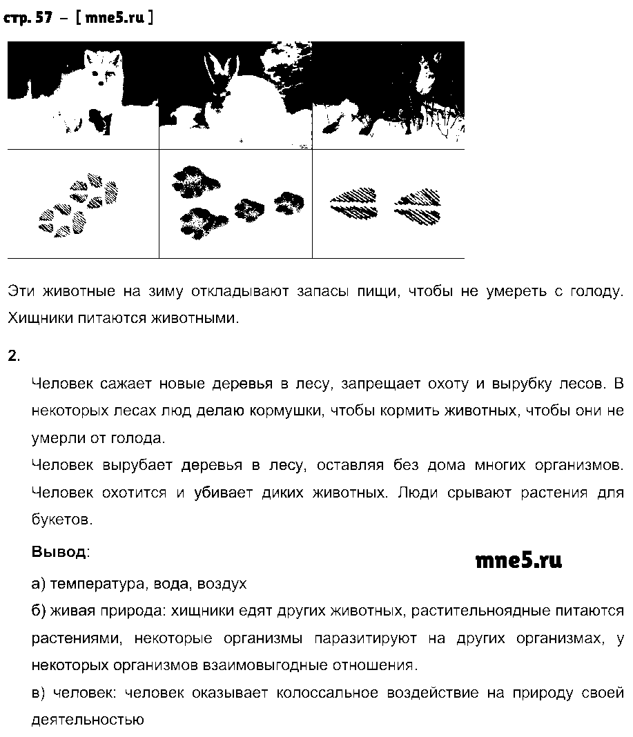 ГДЗ Биология 6 класс - стр. 57