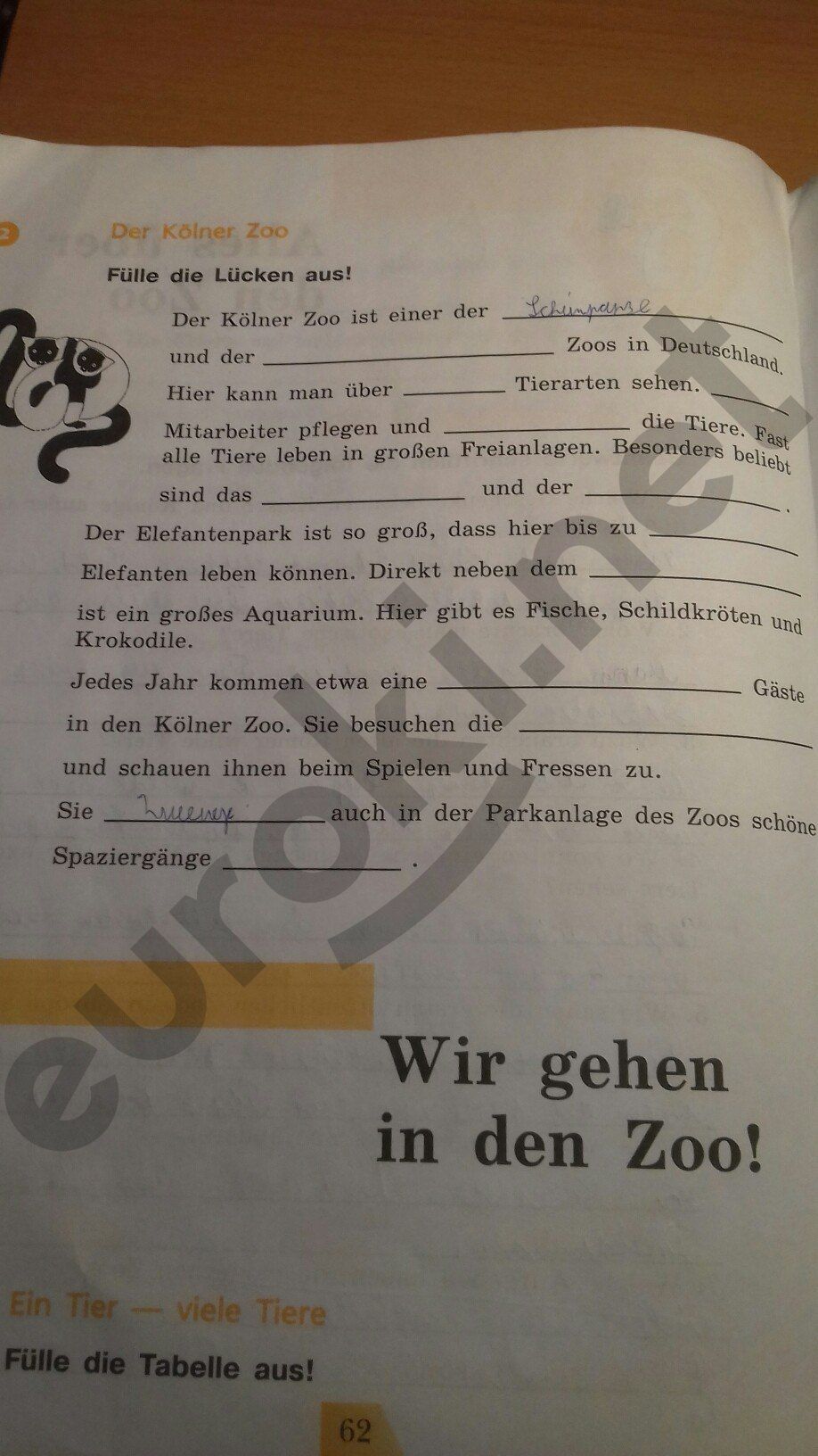 ГДЗ Немецкий язык 5 класс - стр. 62