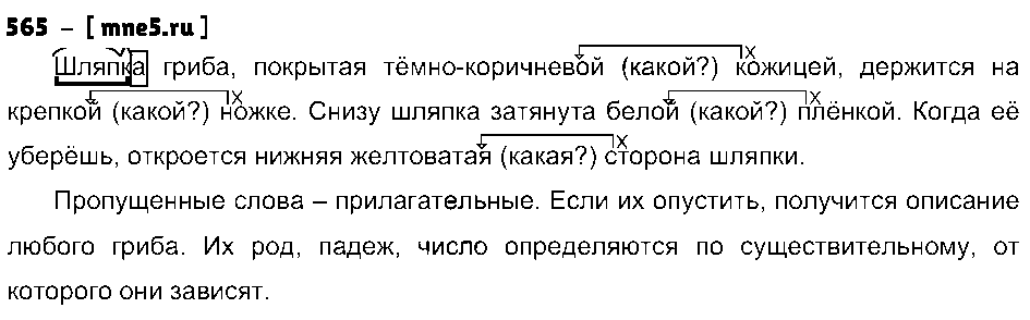 ГДЗ Русский язык 5 класс - 565