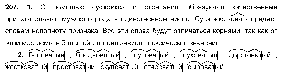 ГДЗ Русский язык 6 класс - 207