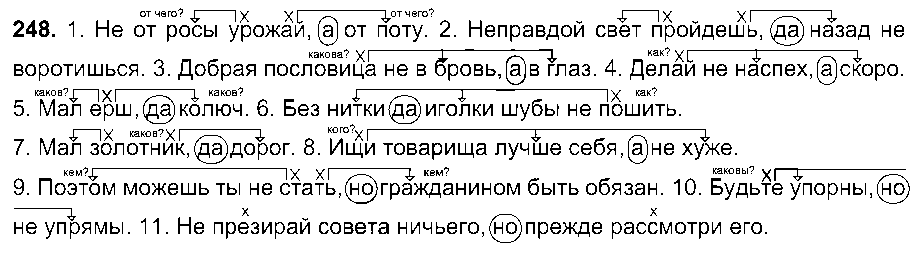 ГДЗ Русский язык 8 класс - 248