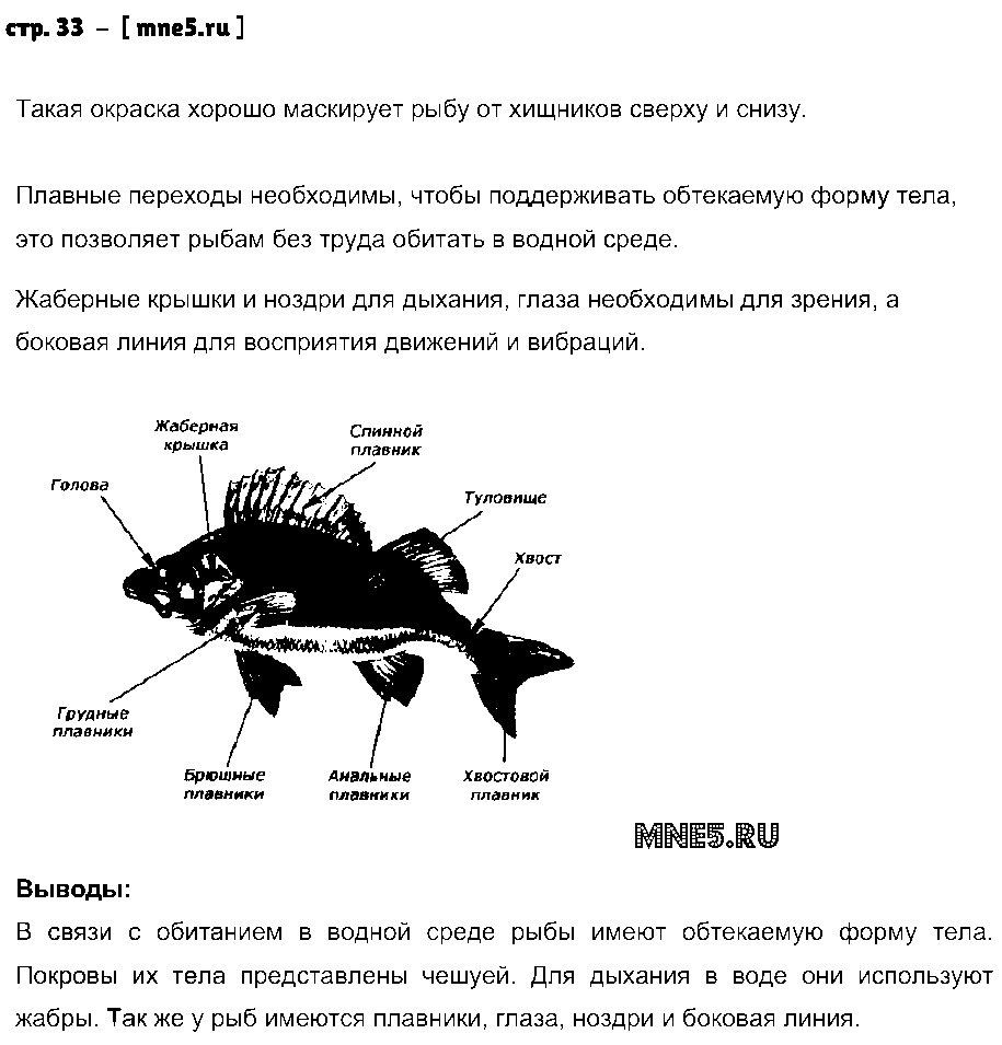 ГДЗ Биология 7 класс - стр. 33
